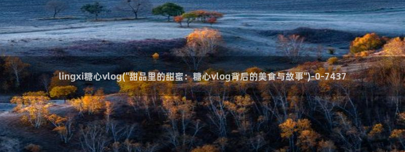 糖心vlog在哪里