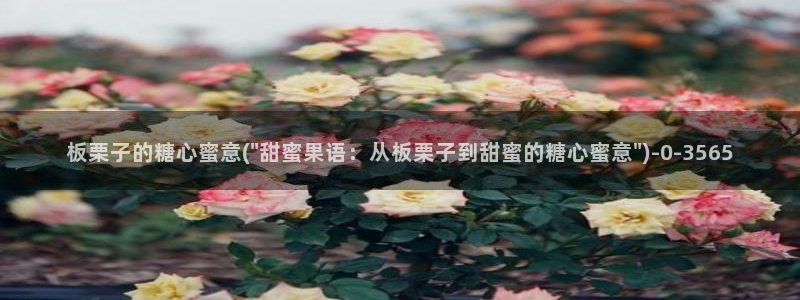 糖心vlog直接进入