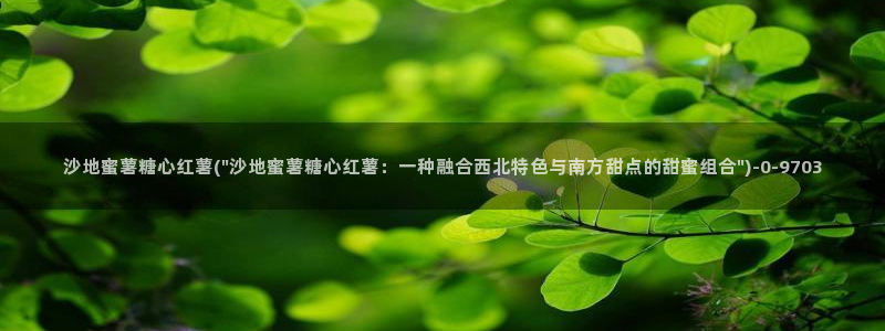 糖心vlog淑怡