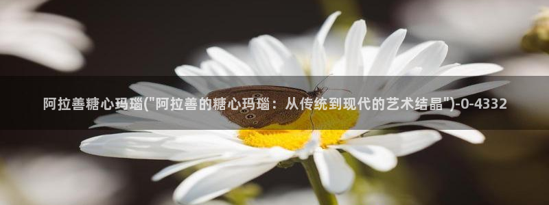 糖心vlog免费下载观看