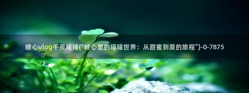 糖心vlog艺人