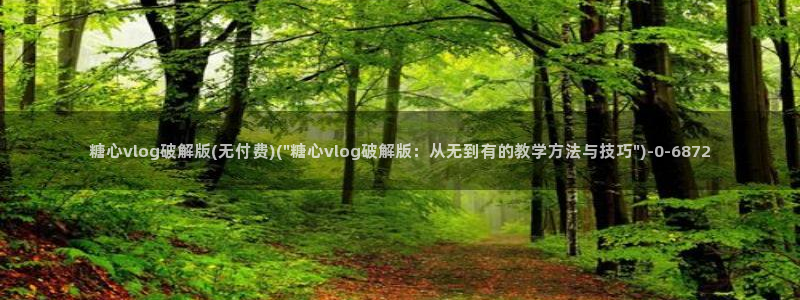 糖心vlog后入