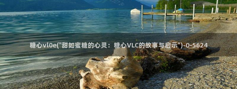 糖心vlog最新版