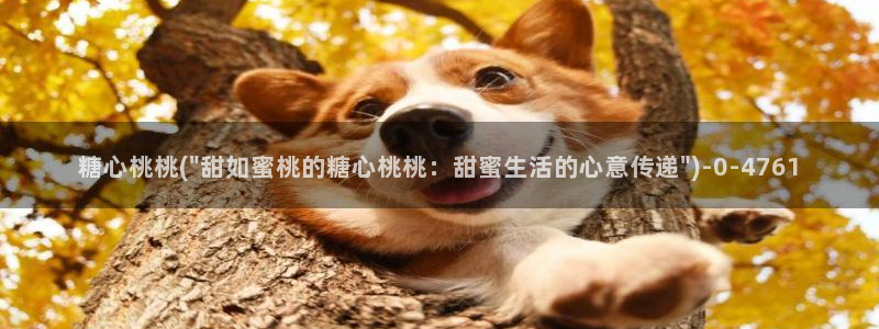 心糖vlog在线