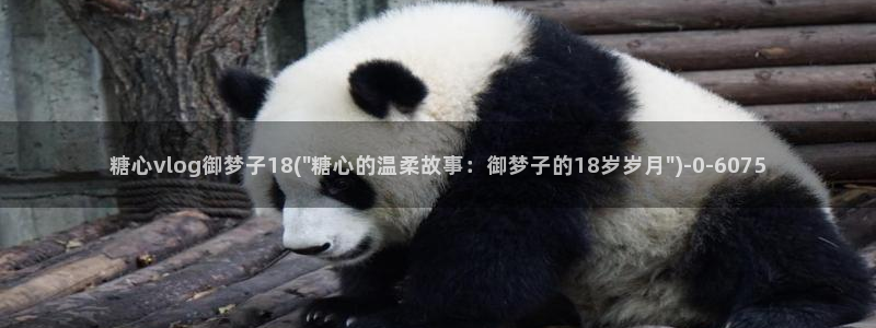 糖心小视频