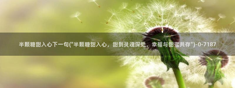 糖心vlog视频破解版