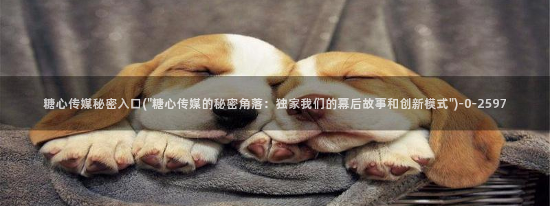 柚子猫糖心vlog肉丝