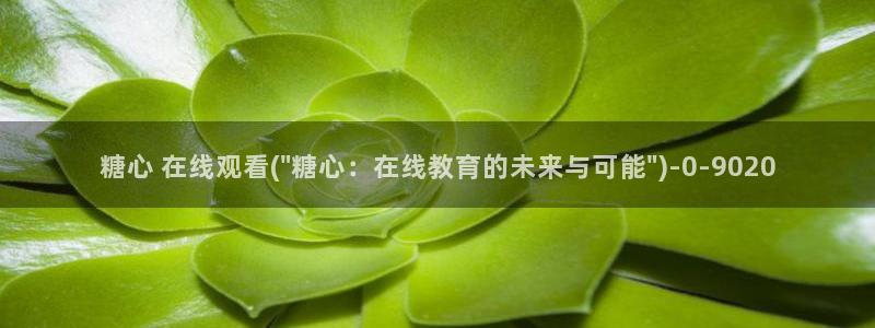 糖心vlog下载地址